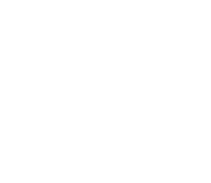 SR painting logo white